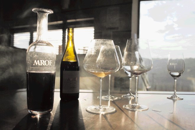 V vinski kleti Marof za letos napovedujejo kar nekaj novosti. Luka Cjuha 