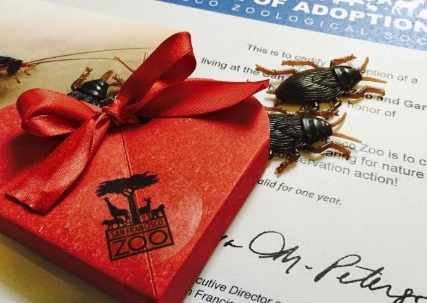 Prihaja Valentinovo: bivšemu partnerju lahko podarite sikajočega ščurka (ali škorpijona) 