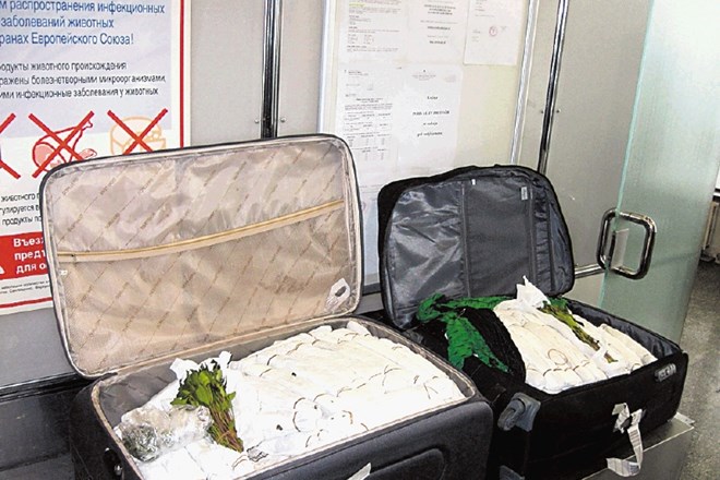 Cariniki so januarja na brniškem letališču v razmaku nekaj dni zasegli 50 in 21 kilogramov kata. 
