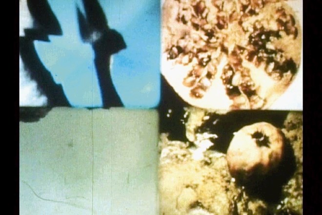 Kultni film Tetraplan (1981) Amande Fior Daliso svoje osnovne motive znotraj enega kadra postopoma razdeli na šestnajst polj,...
