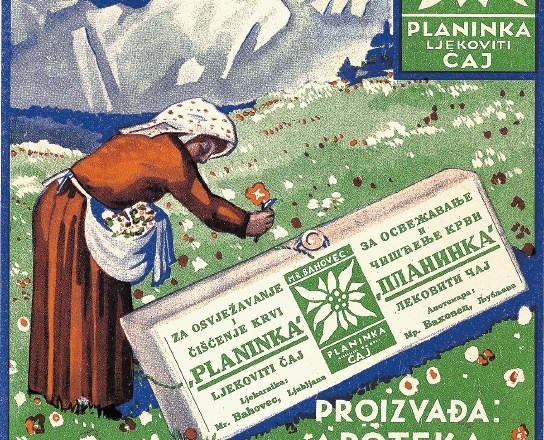 Z ženo Lidijo sta za zaščitni znak čaja planinka  izbrala cvet planike kot simbol za planinska zdravilna zelišča. 