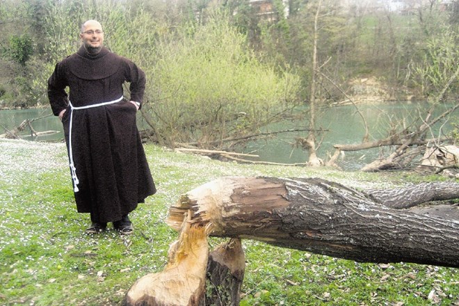 Na vrtu frančiškanskega samostana v središču Novega mesta so prve posledice bobrovega početja opazili leta 2012. Jablane so...
