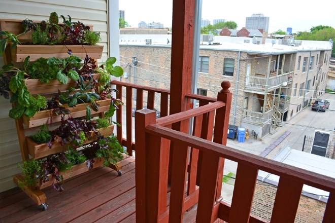 Tudi na balkonu, le korak od kuhinje, si lahko pridelate svojo zelenjavo