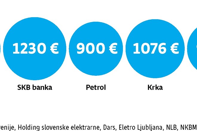 Kjer je država (so)lastnica letos minimalno določen regres 790,73 evra, drugod precej več