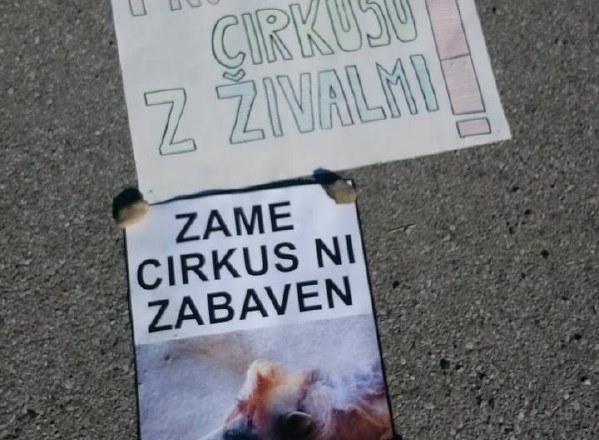 Slovenija se še ni odrekla krutosti živalskih cirkusov