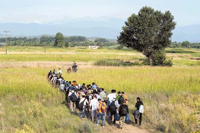 Sirski begunci na polju v bližini vasi Idomeni v Grčiji, tik ob meji z Makedonijo. 