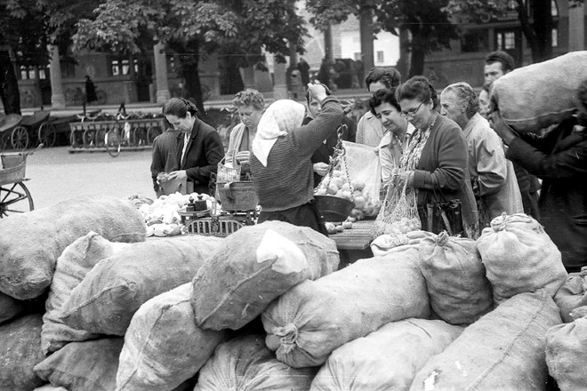 Nakopičene vreče krompirja so leta 1959 vabile kupce na Vodnikovem trgu. 