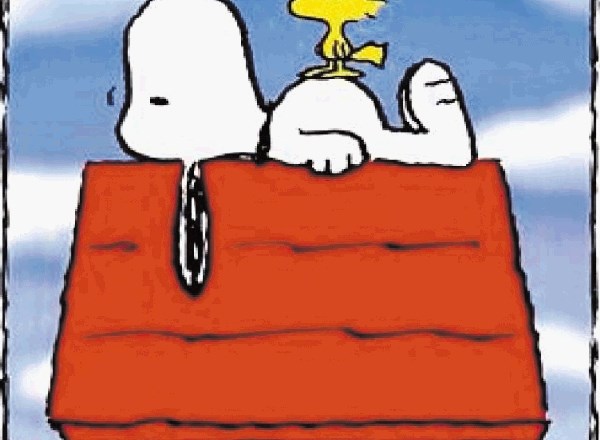 Snoopy in Woodstock 