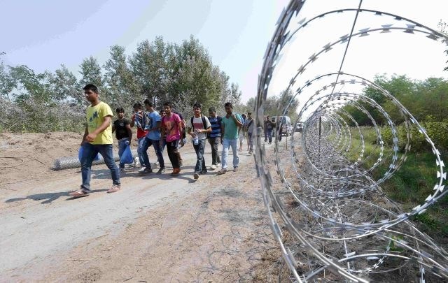 Migranti hodijo ob srbsko-madžarski meji. Madžarska je namreč začela postavljati 175 kilometrov dolgo ograjo ob meji s...