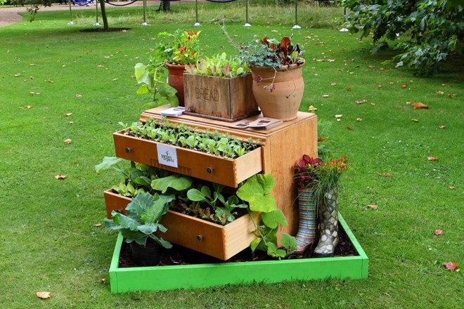 Okolju in denarnici prijazne rešitve za polepšanje vašega vrta   