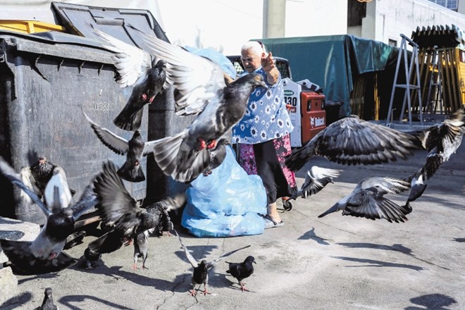 Turisti hranijo vrabce  na Kongresnem trgu. Niti sanja se jim ne, da je od sobote naprej to prepovedano. 