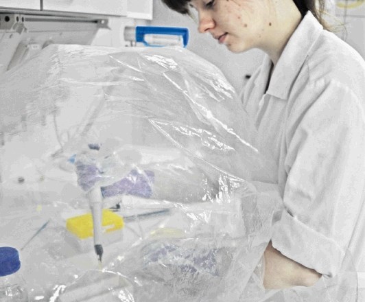 Dijakinja Ana Milovanović pri delu z bakterijami v anaerobnih razmerah    