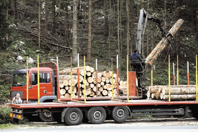 Ob ustanavljanju novega državnega gozdarskega podjetja se mnogi sprašujejo, zakaj  bodo občine kljub odpravi koncesij za...