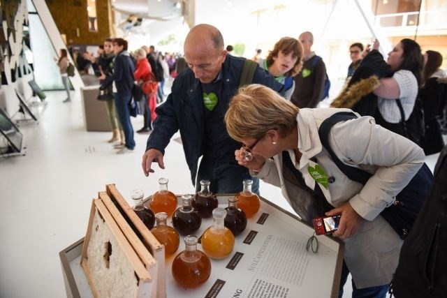 Obiskovalci slovenskega paviljona se lahko podučijo tudi o različnih vrstah medu. (Foto: Nebojša Tejić/STA) 