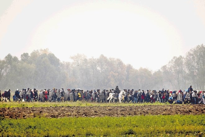Tudi včeraj je zeleno mejo na območju Dobove in Rigonc prestopilo več tisoč migrantov. Takšnih prizorov pa z novim sistemom...