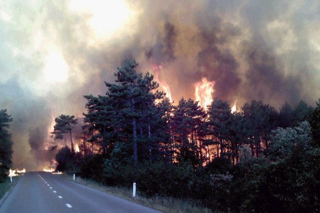 Ob poletni suši je v Istri  požarna ogroženost velika in gozdni požari niso redkost. 
