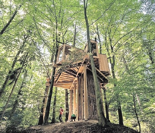 Edinstvena in največja lesena hiša, umeščena med krošnje dreves v celjskem mestnem gozdu 