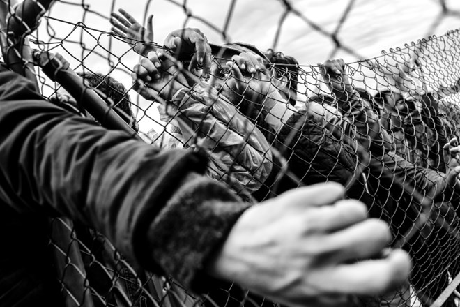 Nagrajena fotografija Jake Gasarja, ki  je nastala na mejnem prehodu Obrežje in prikazuje trpljenje ljudi »čisto blizu nas, a...