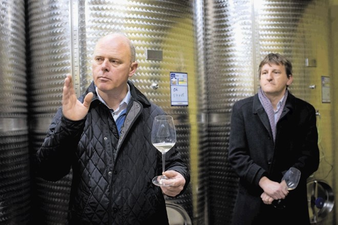 Miran Sirk in Robert Gorjak ob sodih osnovnih vin, iz katerih nastajajo penine bjana. 