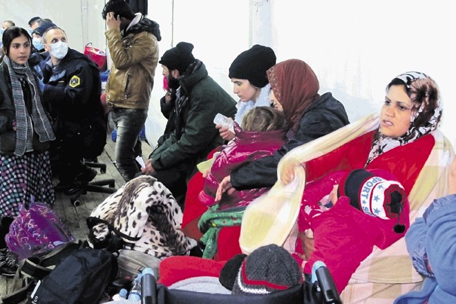 Moški, ženske, majhni otroci so v ogrevanem šotoru potrpežljivo čakali na registracijo. 