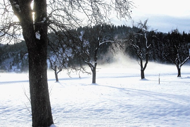 Malokje v Sloveniji so zime tako idilične kot na Blokah.   