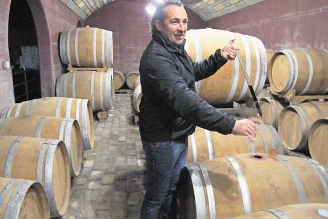 Marko Skočaj je začel s 25.000 napolnjenimi steklenicami. Danes obdeluje 14 hektarjev vinogradov,  trgu pa ponudi od 50.000...