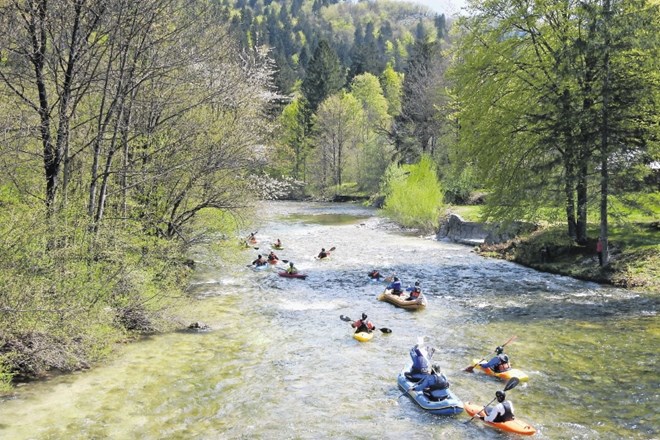 Z jezera so se veslači spustili po najkrajši reki v Sloveniji, Jezernici, in pot ozaveščanja nadaljevali po Savi Bohinjki.