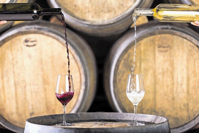 Vinagova arhivska vina še vedno na prodaj