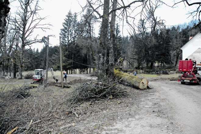 V parku gradu Snežnik so bila poškodovana praktično vsa drevesa.