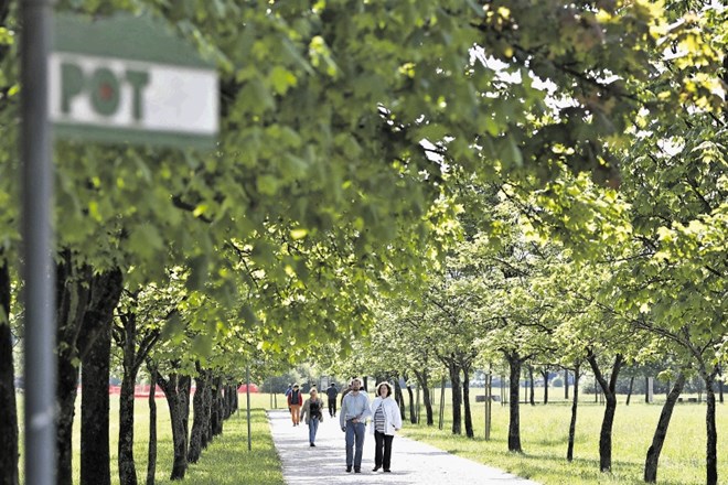 Občani in občanke so skozi desetletja posvojili zeleno pot, ki obdaja mesto.