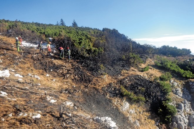 Požari v naravi so na Koroškem kar pogosti. Nekaj dni pred novim letom je gorela Peca.