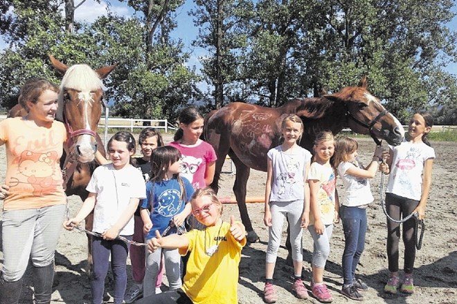 Konji niso le za jahanje, zanje je treba tudi skrbeti, že vedo vse mlade udeleženke tabora.