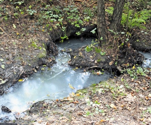 Krajani so dokumentirali onesnaženi potok v Lazah.
