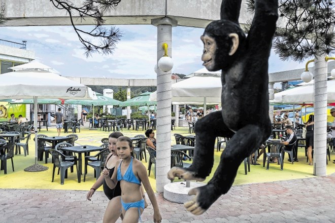 Najmlajšim obiskovalcem Aqualune je posebno všeč, da so povsod na ogled tudi različne živali. Opice denimo visijo kar z...