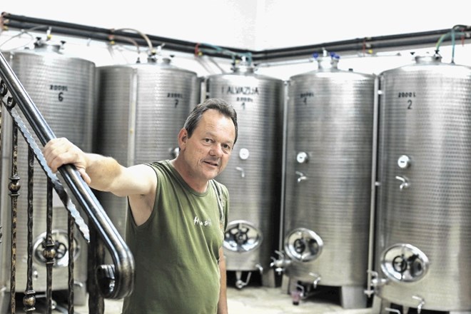 Damjan Olenik pridela okoli 30.000 litrov vina, največ refoška in malvazije.