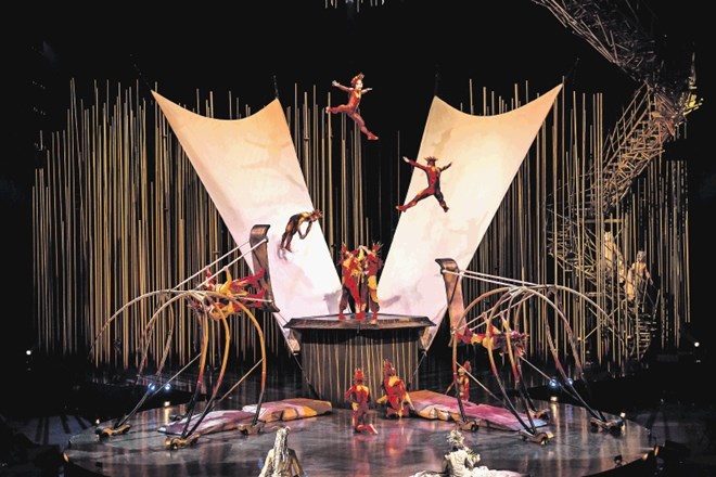 Spektakel Varekai je ena izmed stalnic repertoarja gledališkega podjetja Cirque du Soleil.