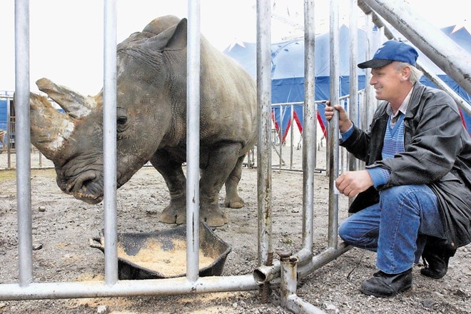 Rogovi nosorogov so zelo iskani  v Aziji; v Vietnamu rog uporabljajo za zdravljenje raka in alkoholnega mačka,  čeprav ni...