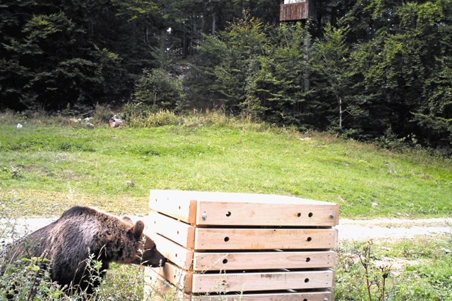 Kompostniki, varni pred medvedi, so uspešno prestali preizkus.