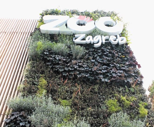 Zelena stena s 500 rastlinami