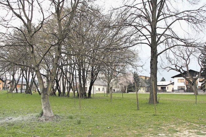 Približno dva hektarja velik Češminov park v središču Domžal so začeli urejati pred slabim desetletjem.