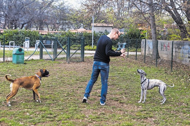 Lastniki, ki želijo  pse prepustiti igri  brez povodcev, jih lahko peljejo v enega od dveh urejenih pasjih parkov. Eden je ob...
