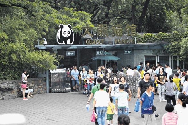 Lestvica: Največji živalski vrtovi na svetu
