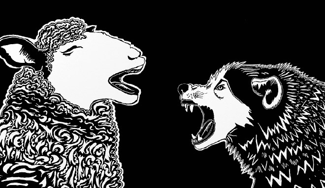 Ovčka in volk