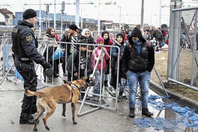 Migracije po zahodni balkanski poti: železniška postaja Dobova 17. februarja