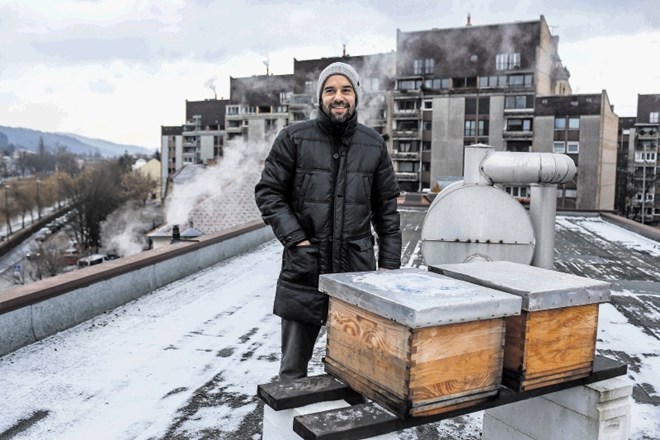 Luka Mladenovič že nestrpno pričakuje konec zimskega zatišja in toplejše dni. Takrat bo okoli čebelnjaka na strehi...