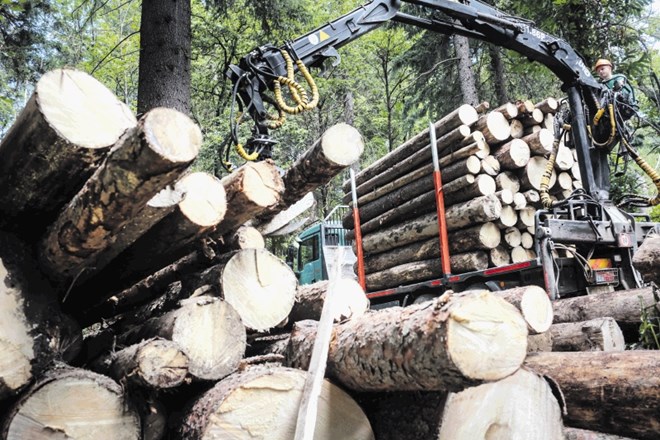 Kljub državnemu gozdarskemu podjetju naj bi šlo v tujino vsaj toliko lesa kot prej, če ne celo več.