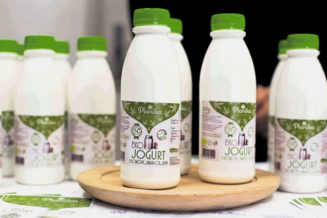 V skupini mlečnih izdelkov izstopa eko jogurt s konopljinim oljem (Mlekarna Planika Kobarid). Sodi  v linijo ekoloških...