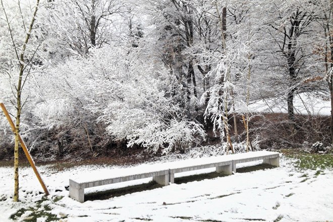 Zima izostri likovne kontraste med vrtom, ki ga je ustvaril studio AKKA, in gozdom.