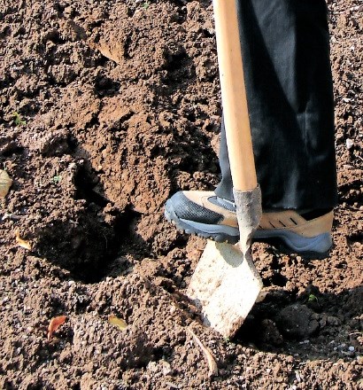 Strokovnjaki agronomi Kluba Gaia svetujejo: priprava tal na novo sezono