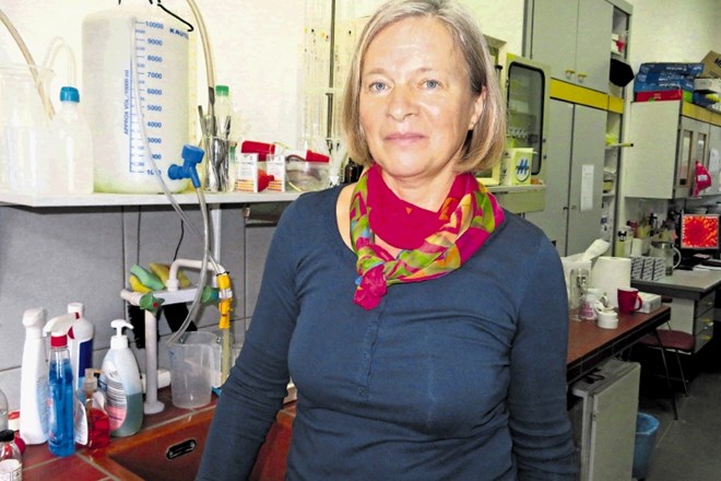 Marinka Kovač, profesorica kemije na Gimnaziji Novo mesto